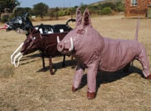 Recycled Creations
